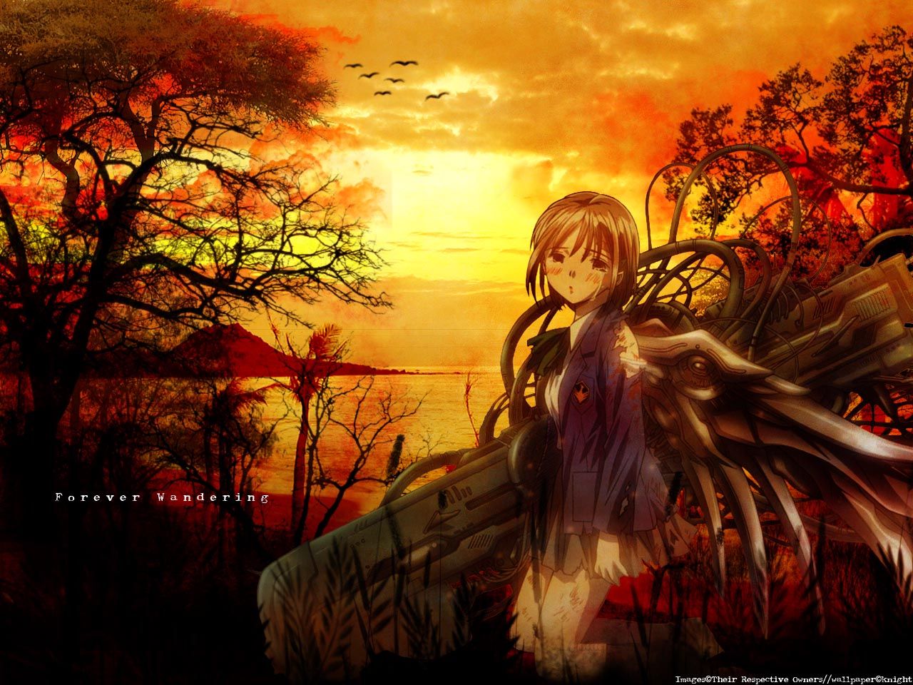 1280x960 chise saikano. konachan.net.com Anime Wallpaper