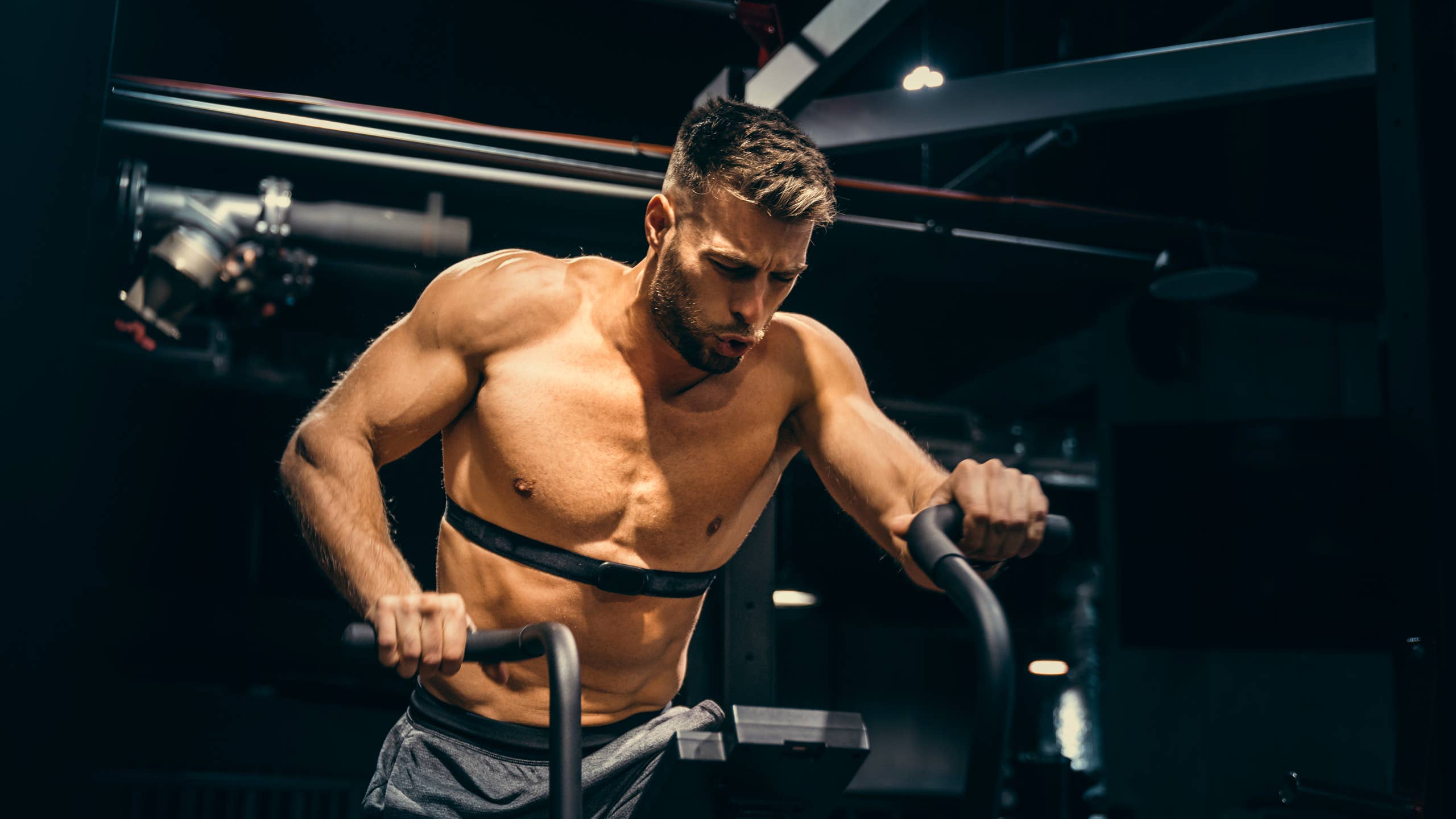 2560x1440 Does Cardio Kill Gains? How Cardio Impacts Muscle Growth's Journal