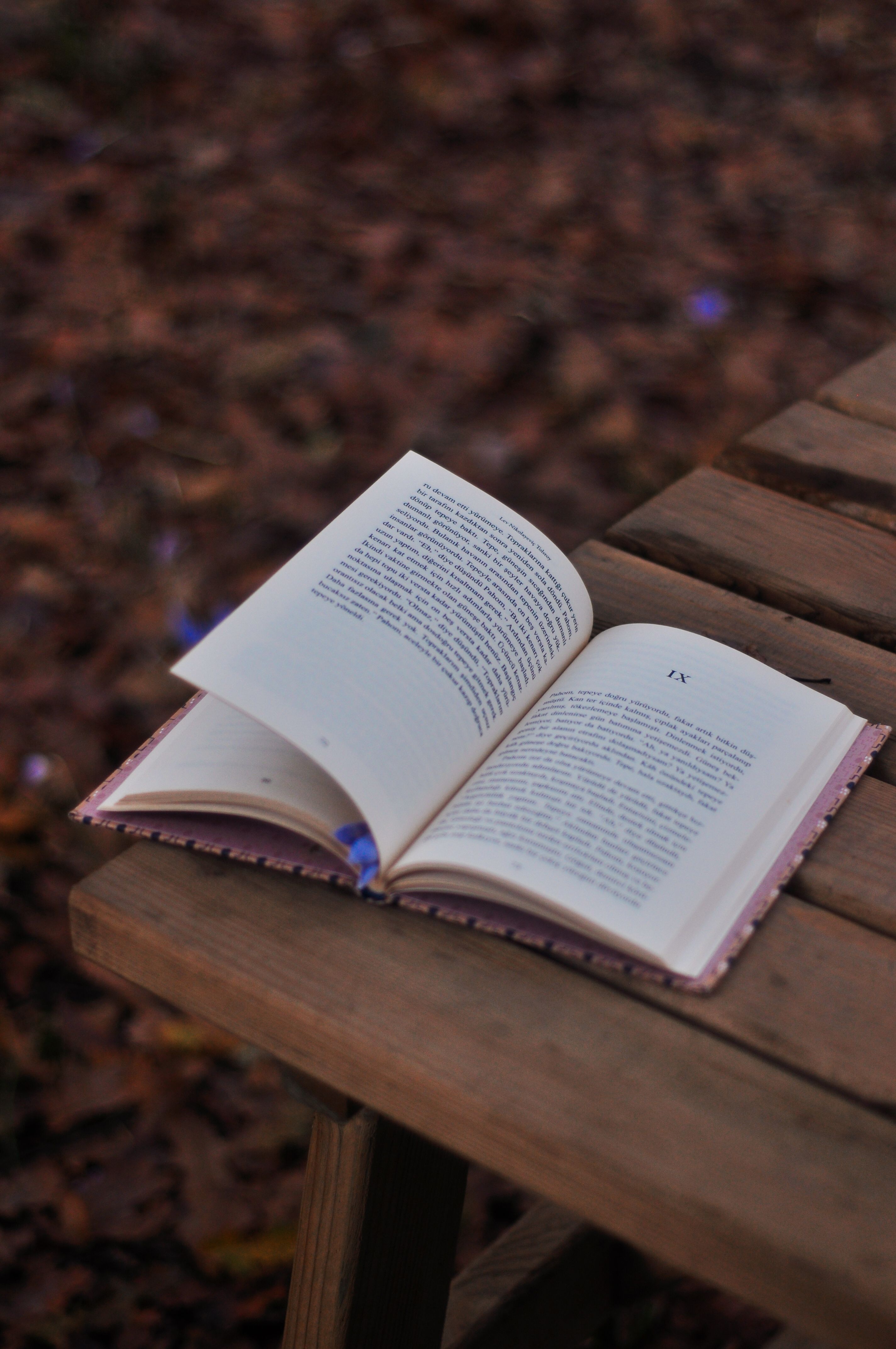2848x4288 Book On The Table Photo, Download The BEST Free Book On The Table & HD Image