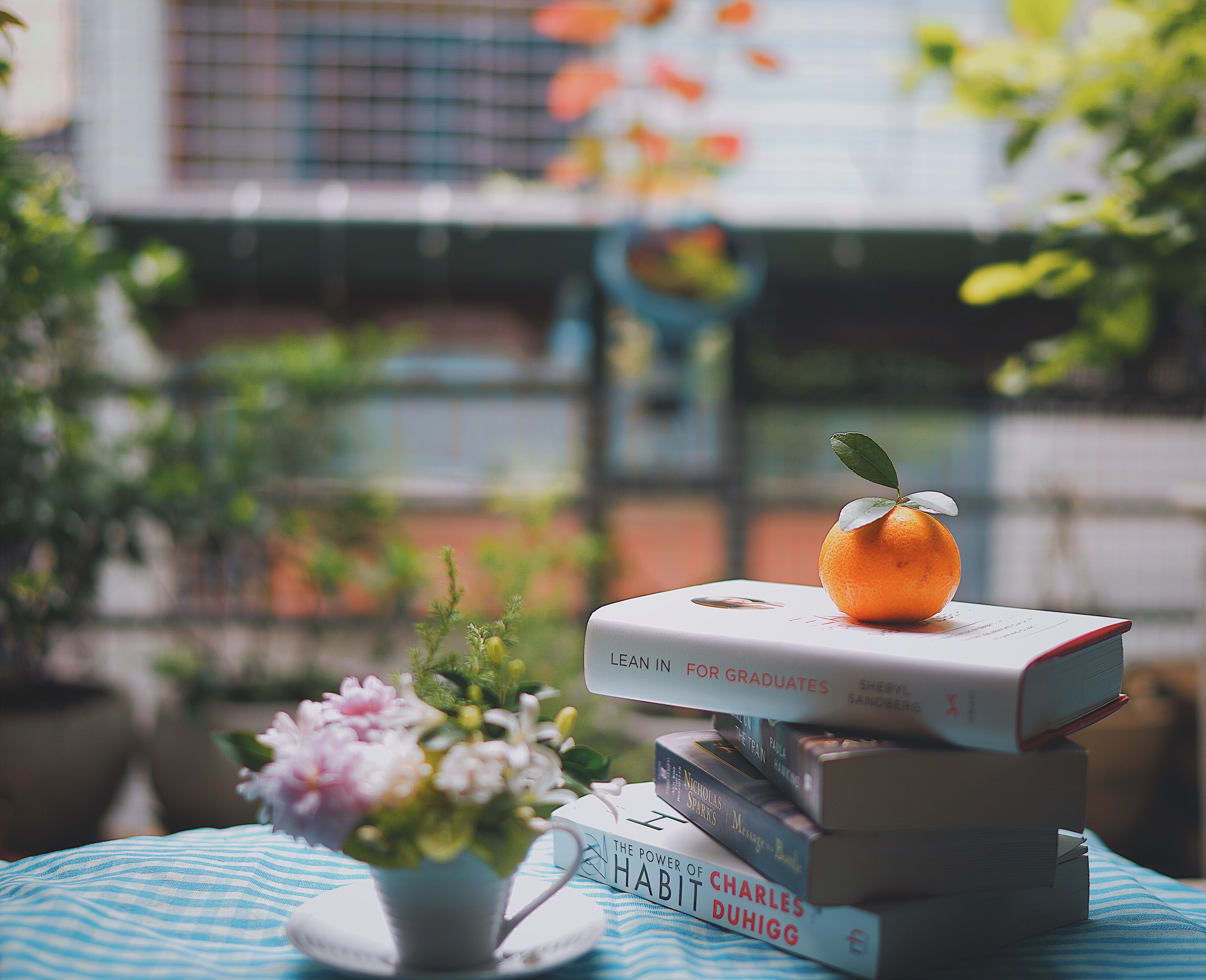 4152x3376 Phone wallpaper: Books, Reading, Light Coloured, Table, Mandarin, Food, Light, Tangerine 137251