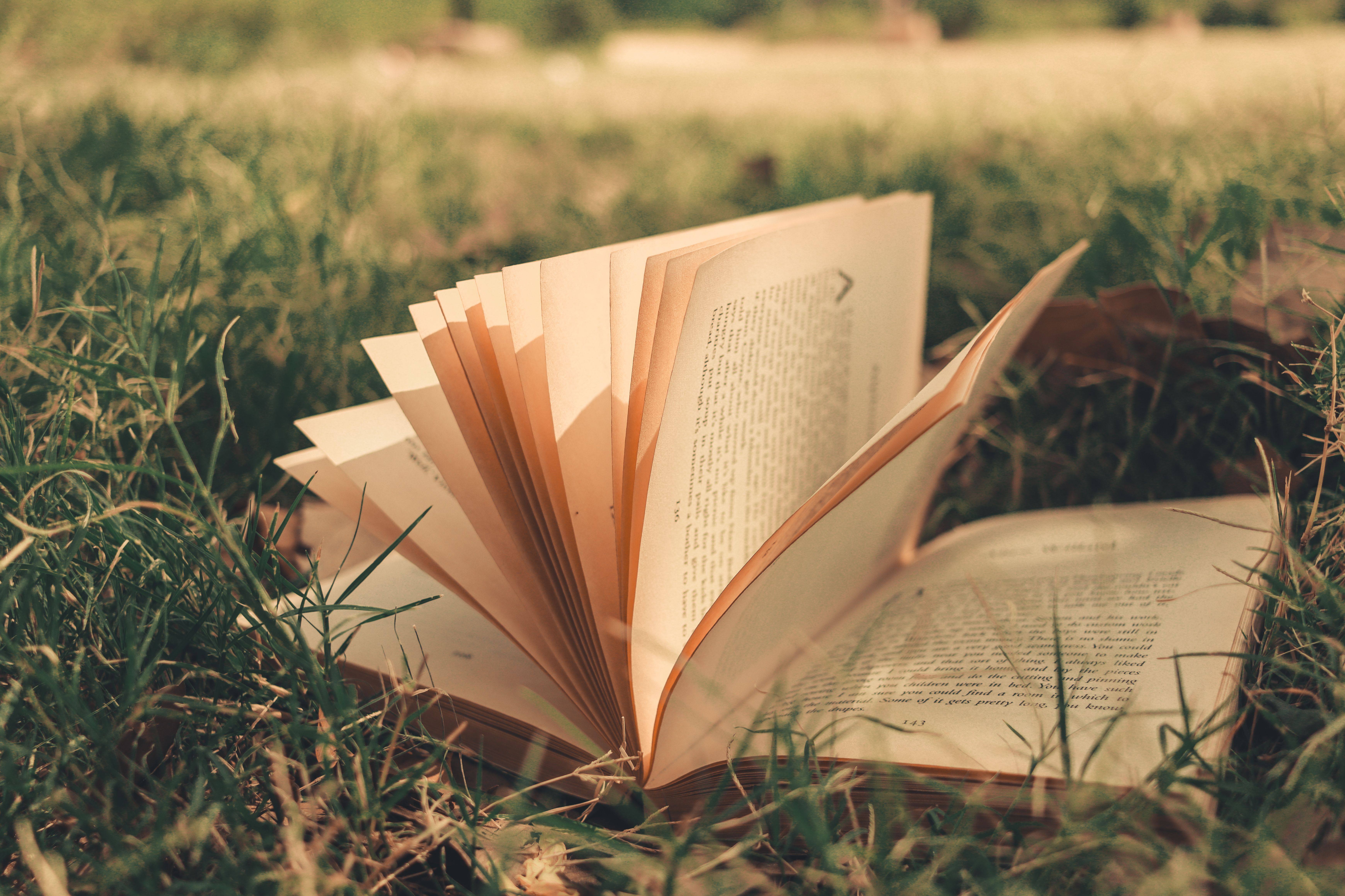 6960x4640 Literary Photo, Download The BEST Free Literary & HD Image