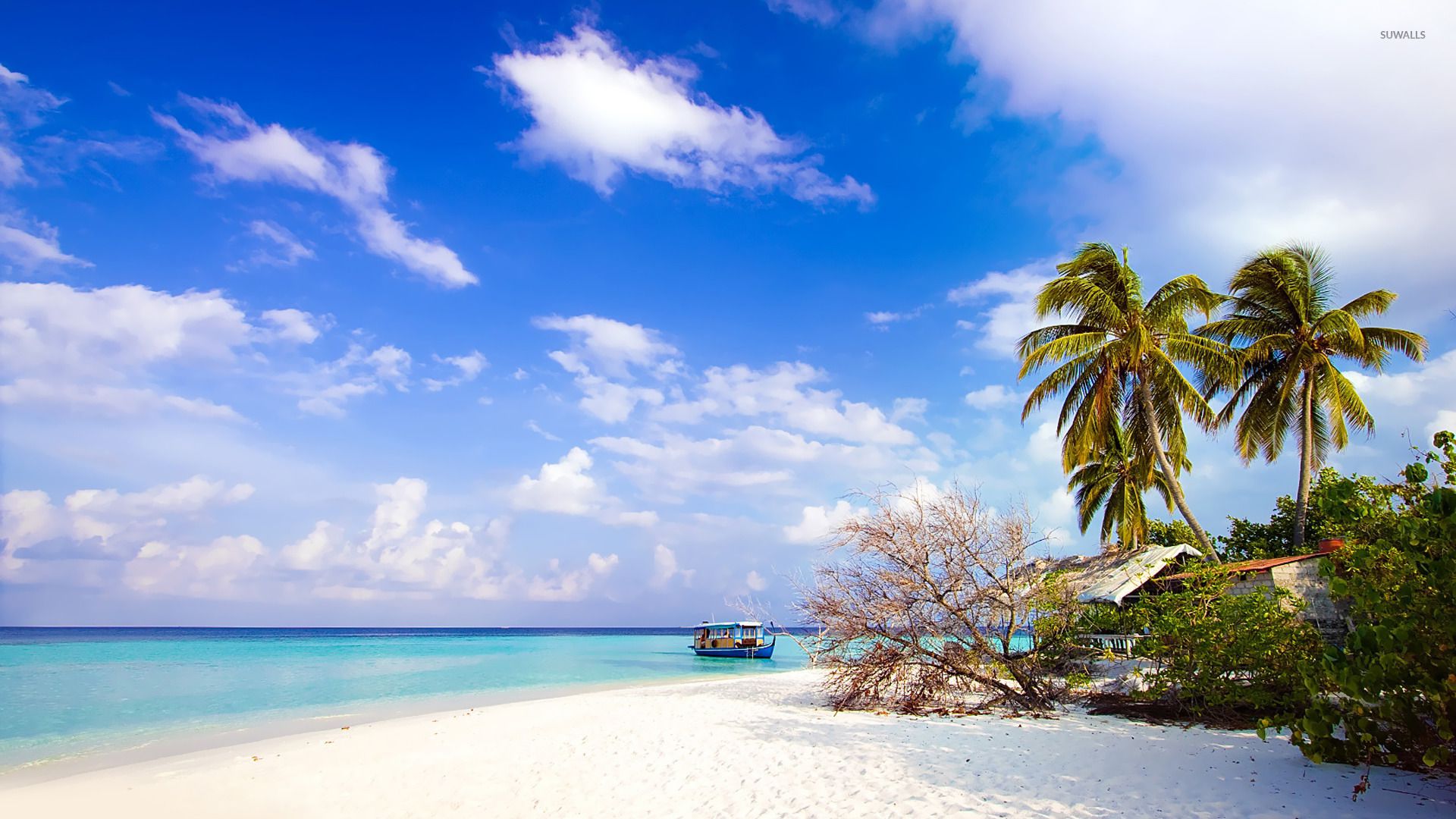 1920x1080 Andaman & Nicobar Islands wallpaper wallpaper