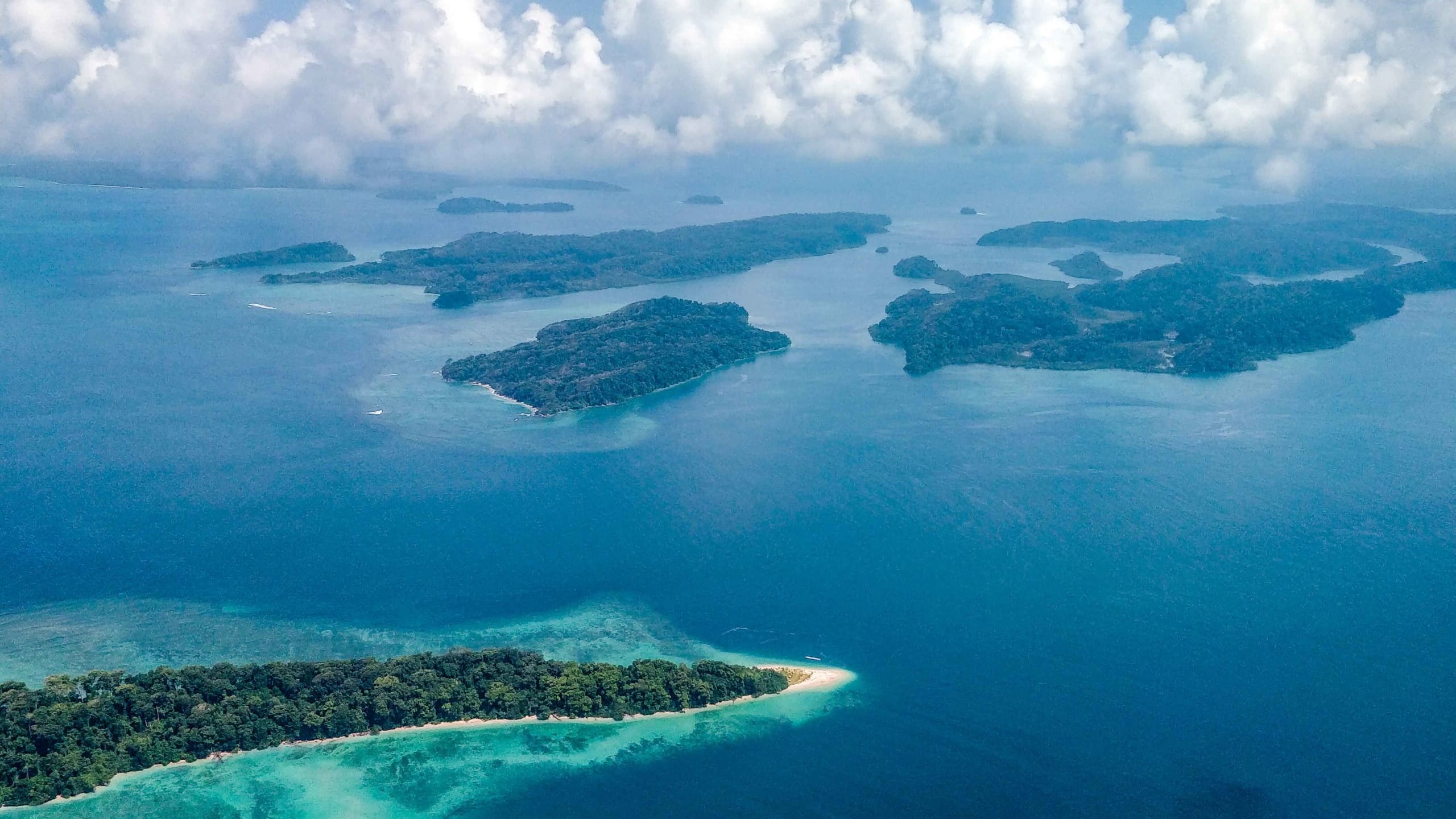 2560x1440 Hope and Biodiversity on the Andaman Islands