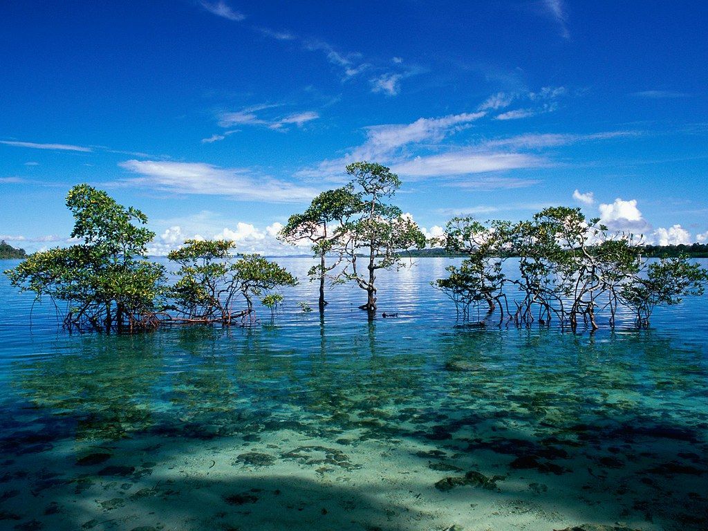 1024x768 Andaman and Nicobar Islands Tourism Attractions. The Andama