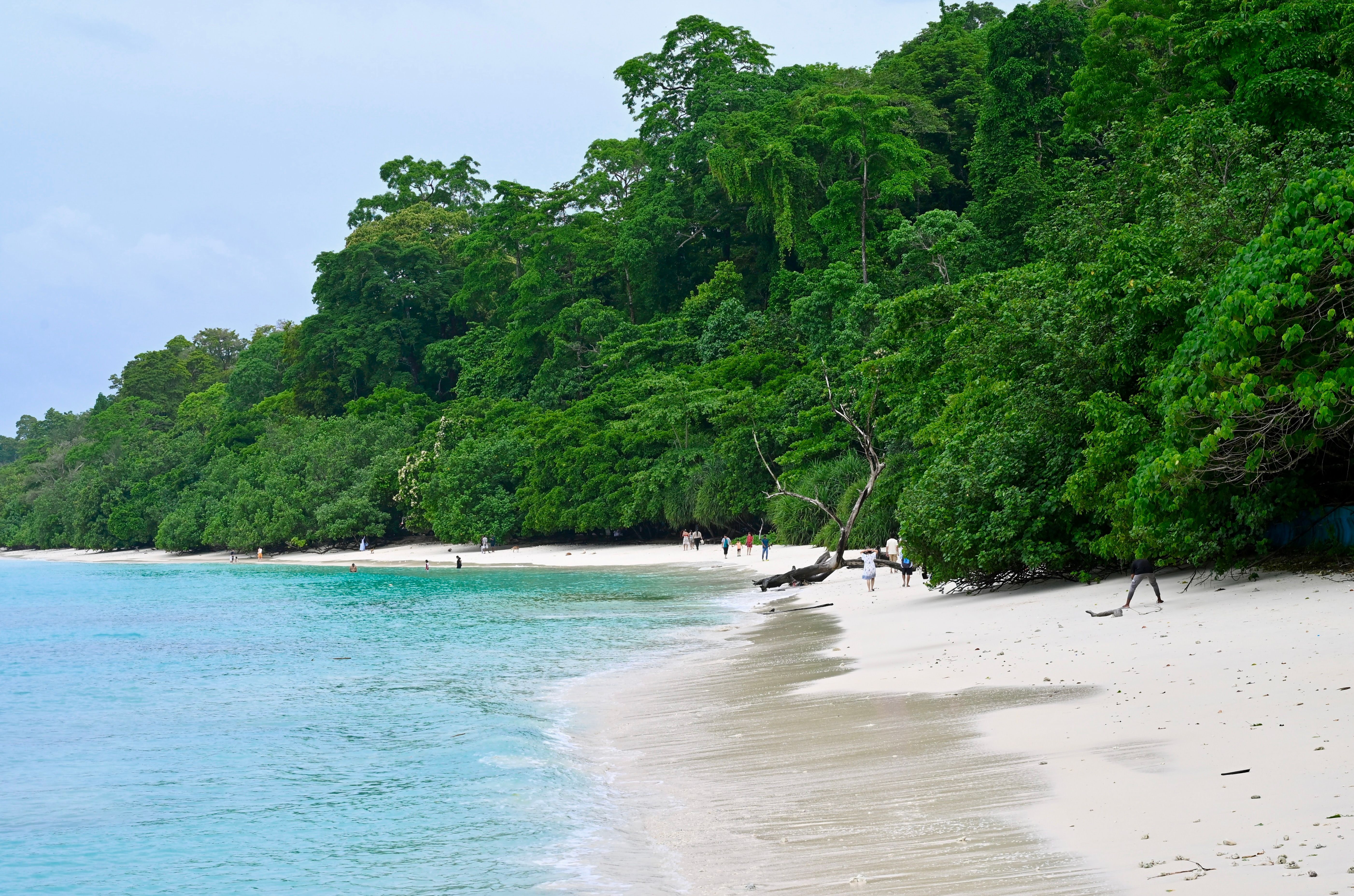 5607x3710 Andaman And Nicobar Islands Photo, Download The BEST Free Andaman And Nicobar Islands & HD Image