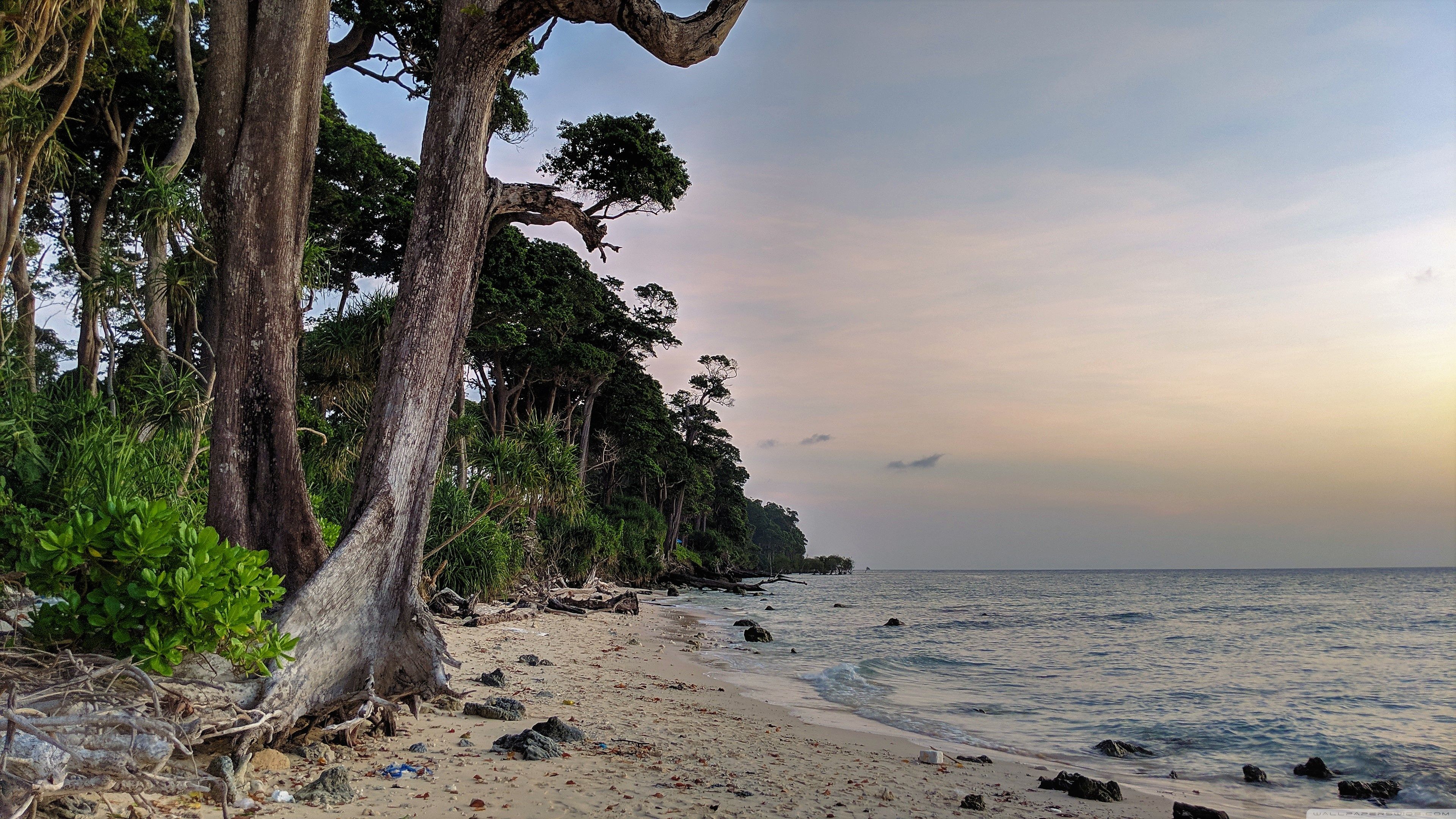 3840x2160 Andaman and Nicobar Islands 4K UHD Wallpaper for UltraHD Desktop and TV : Widescreen and UltraWide Display