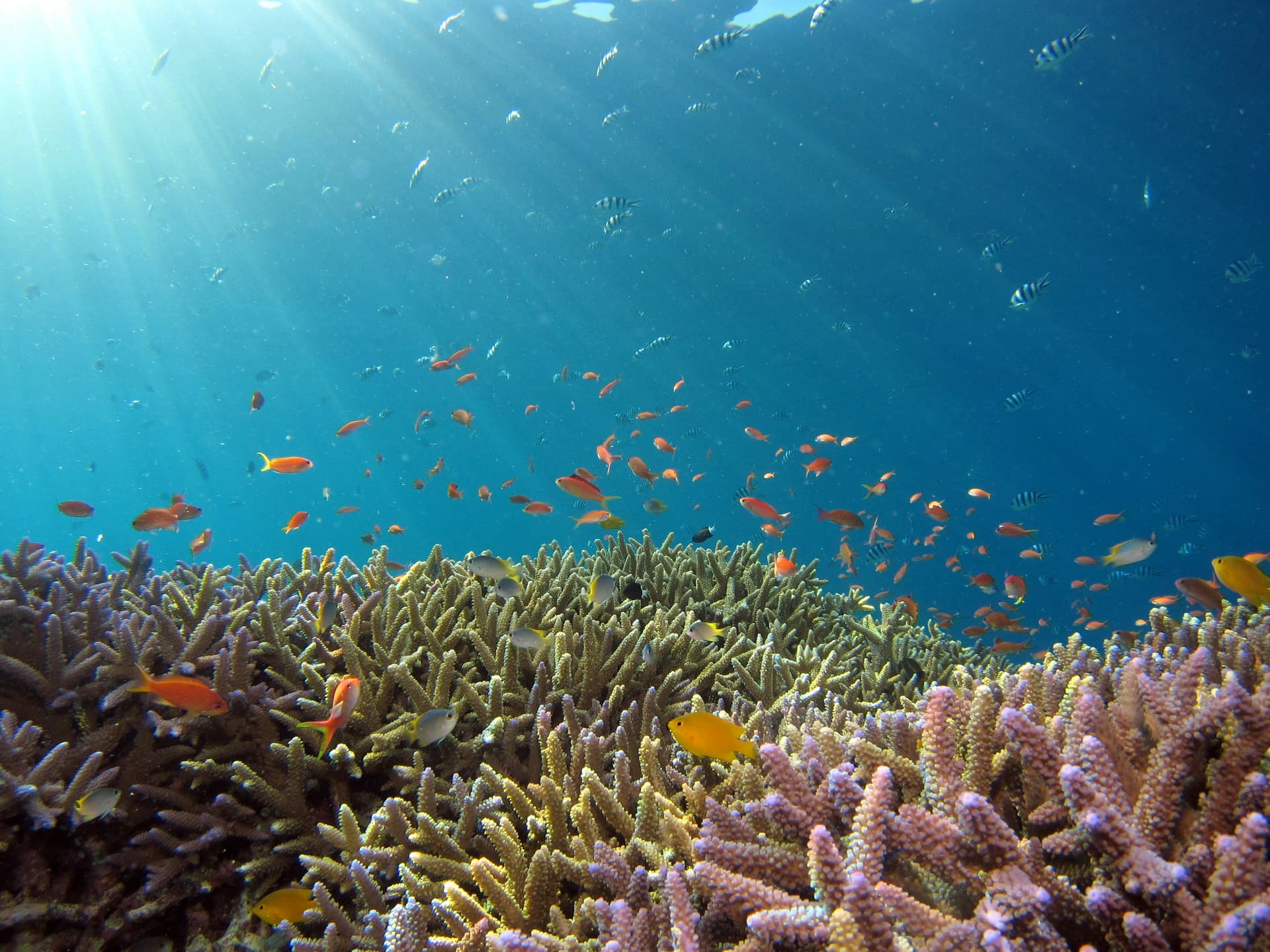1920x1440 Facts about Andaman you didn't already know!