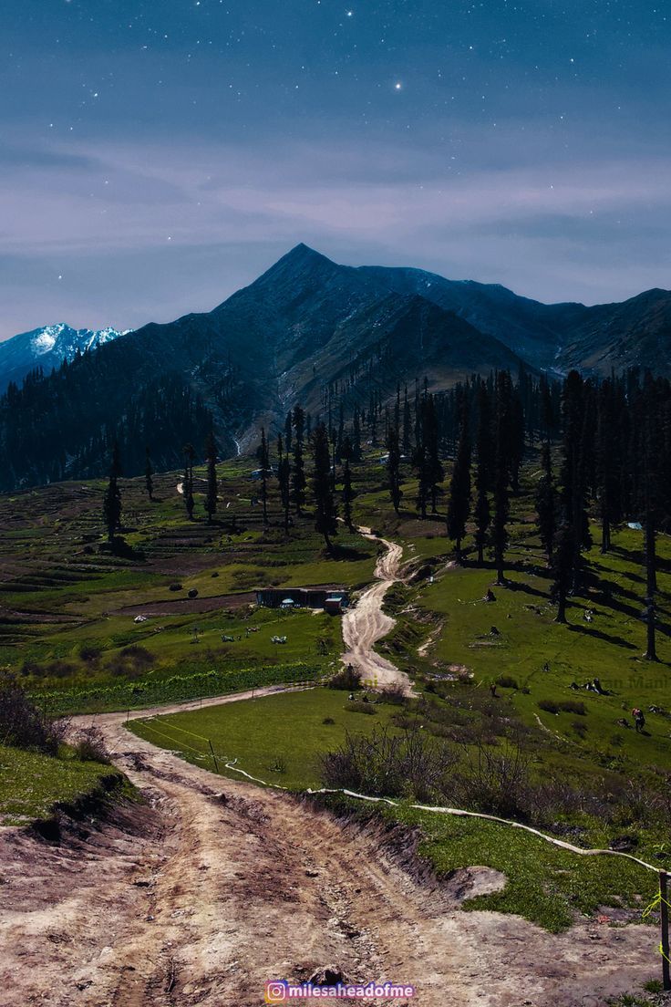 736x1104 Lalazar Meadows in Naran, Kaghan Valley, Pakistan