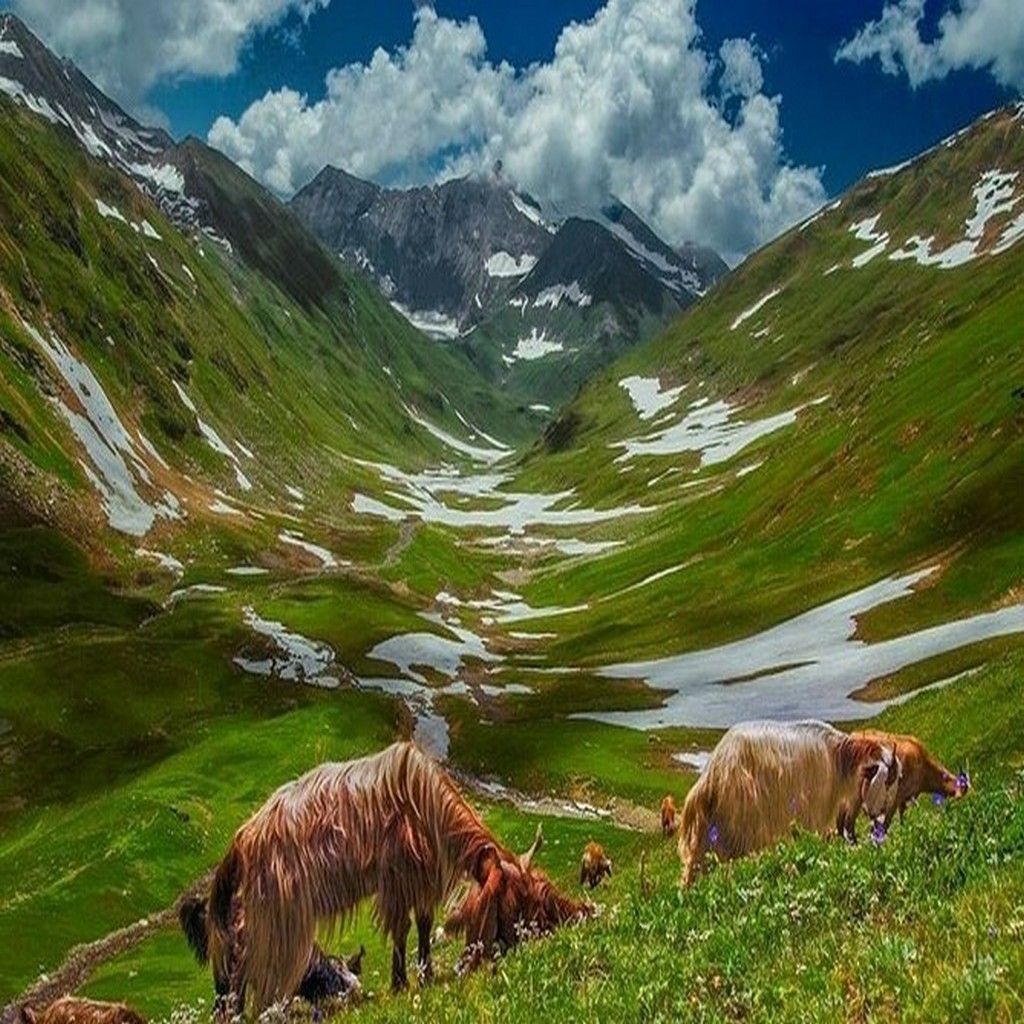1024x1024 Naran Kaghan Travel Tours