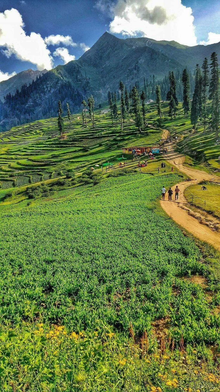 736x1307 Lalazar Pictureque Tourist Spot in Kaghan Valley, Pakistan. Amazing landscape of north pakistan, Naran