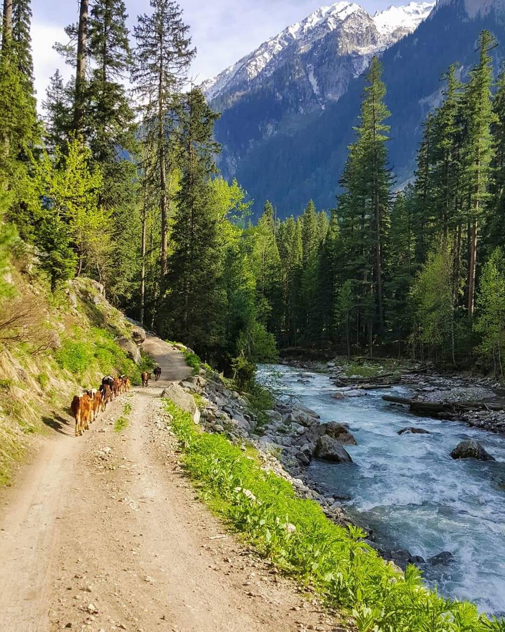1024x1280 Naran Wallpaper