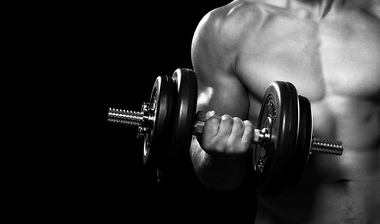 1280x754 image Men dumbbell Fitness Sport Dumbbells Hands