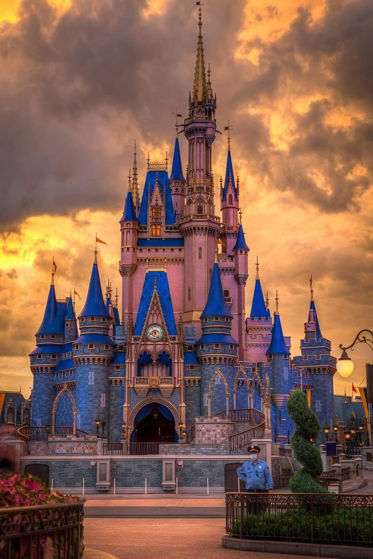 736x1103 Magic Kingdom Castle at Sunset. Cute disney castle wallpaper, Disney castle wallpaper 4k, Disney castle