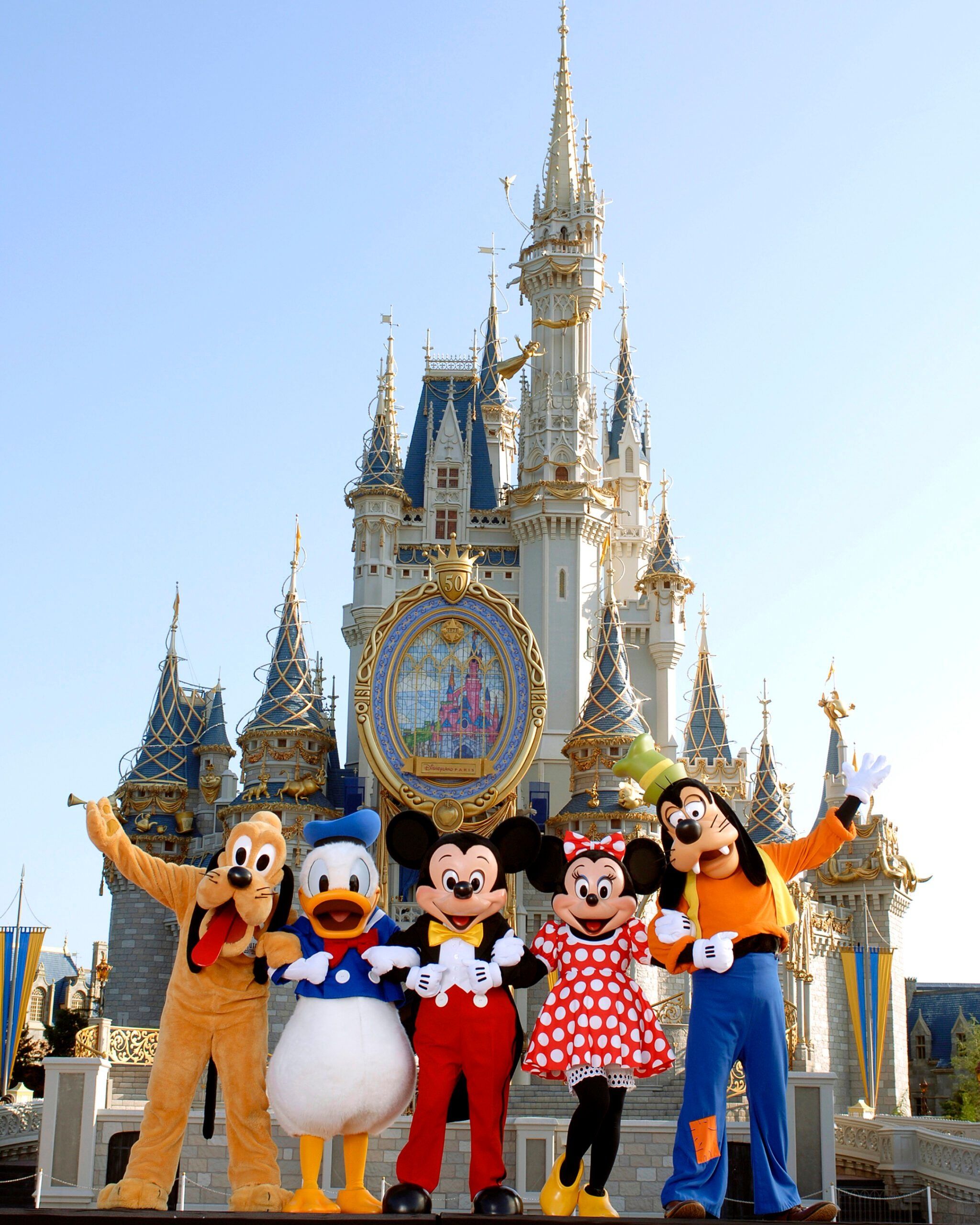 2048x2560 Walt Disney World Resort Wallpaper
