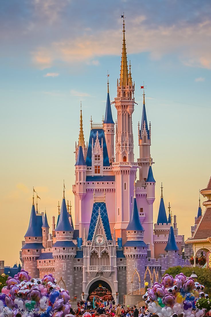 736x1104 The Best of Brett Svenson's Walt Disney World Photography