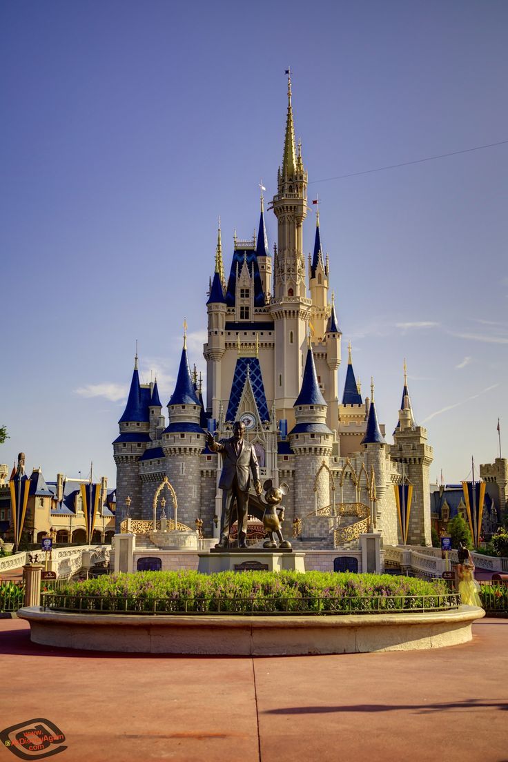 736x1104 Disney World wallpaperDownload free background for desktop, mobile, laptop in any resolution: desktop, Android, iPhone, iPad 1920x 1366x 360x 1024x768 etc. WallpaperTag