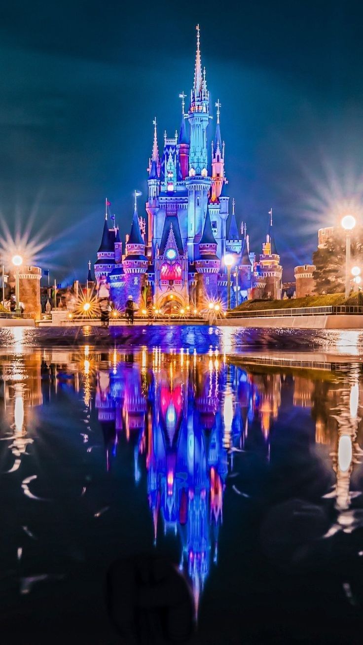 736x1308 Disney castle wallpaper 4k. Disney world castle wallpaper, Tokyo disneyland wallpaper, A castle