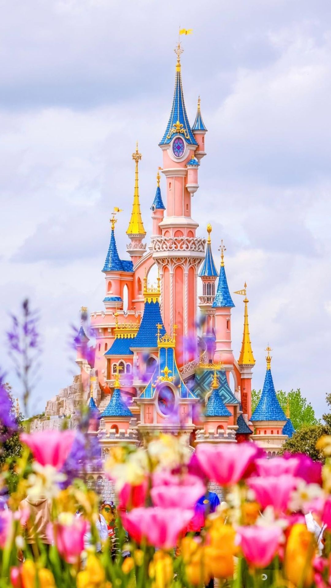 1080x1920 Disney World Spring Wallpaper