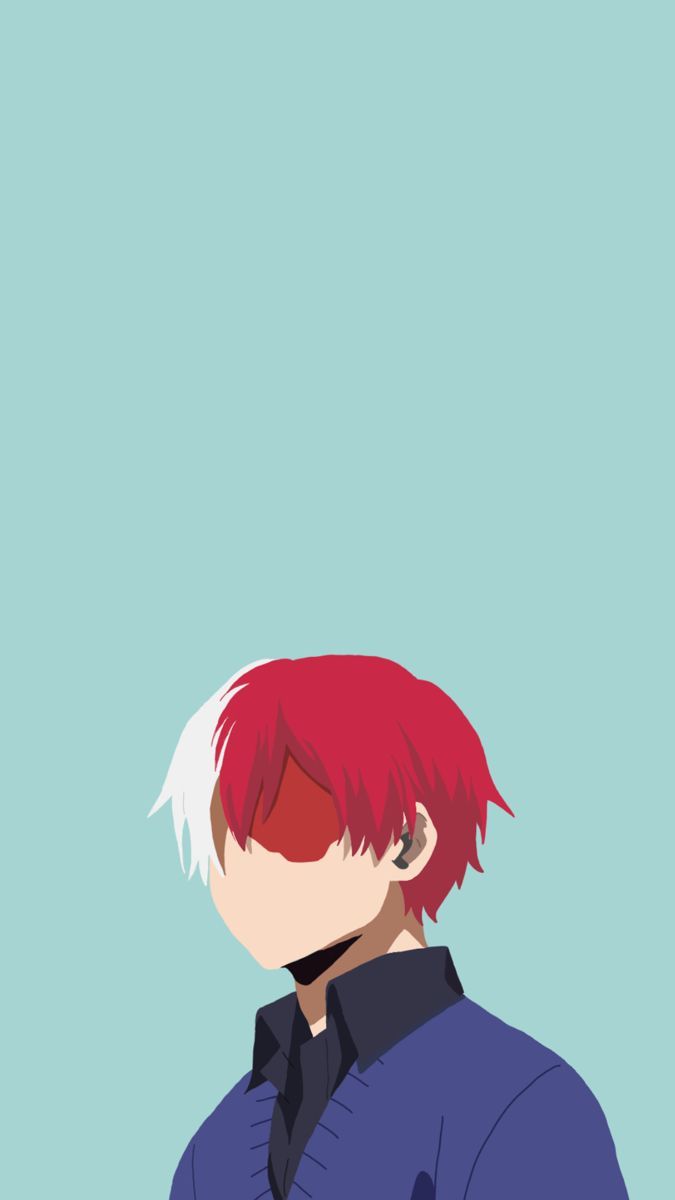 675x1200 Shoto Todoroki Wallpaper