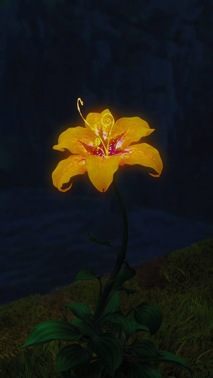 736x1307 RAPUNZEL FLOWER