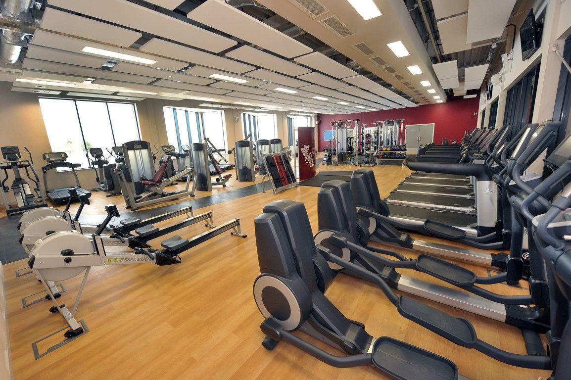 1154x768 Gym equipment names and Picture 2020