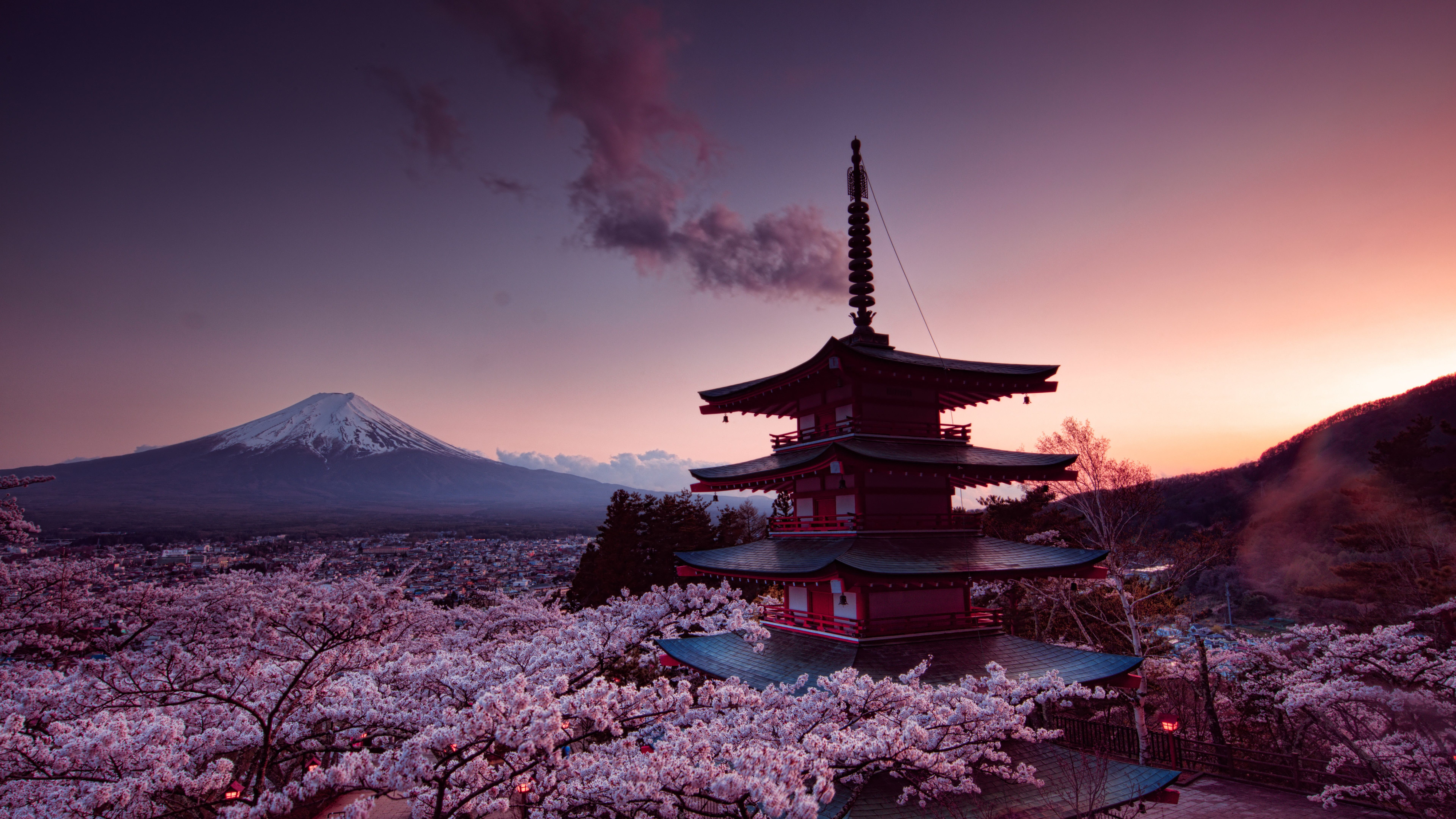 7680x4320 Cherry Blossoms in Tokyo (7680 x 4320)