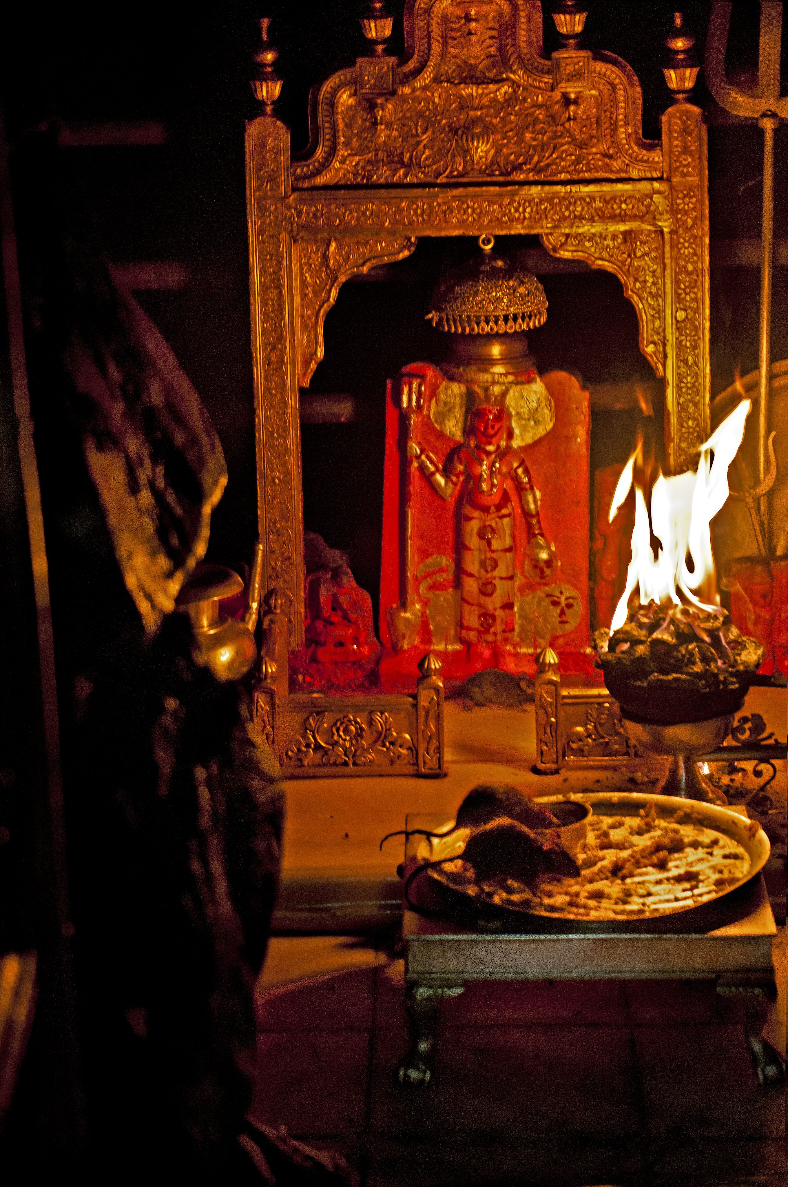 2720x4095 All sizes. The sanctum sanctotum of Karni Mata at the Rat Temple in Deshnoke Sharing!