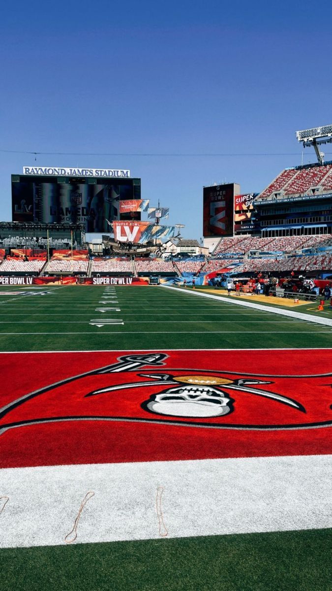 675x1200 Raymond James Stadium Wallpaper