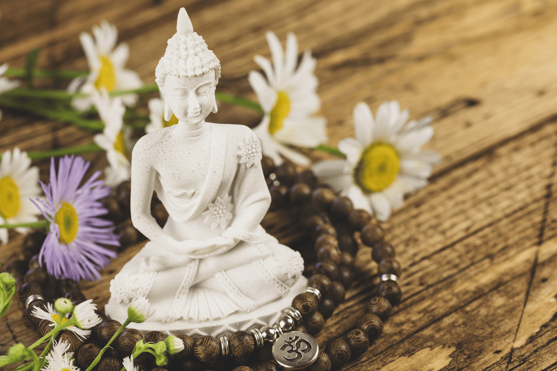 1800x1200 The Four Noble Truths: Buddhist Wisdom for Your Yoga Journey. Om Yoga Magazine