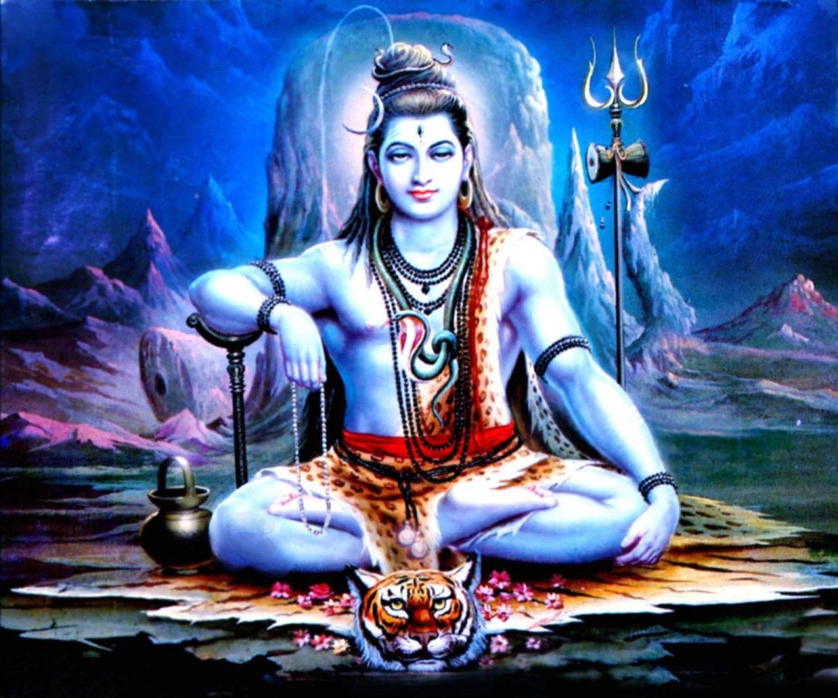 1200x999 brahma