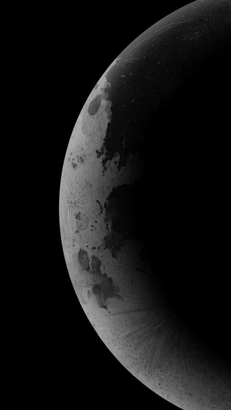 736x1308 Google Pixel 9 Pro XL High Quality Wallpaper