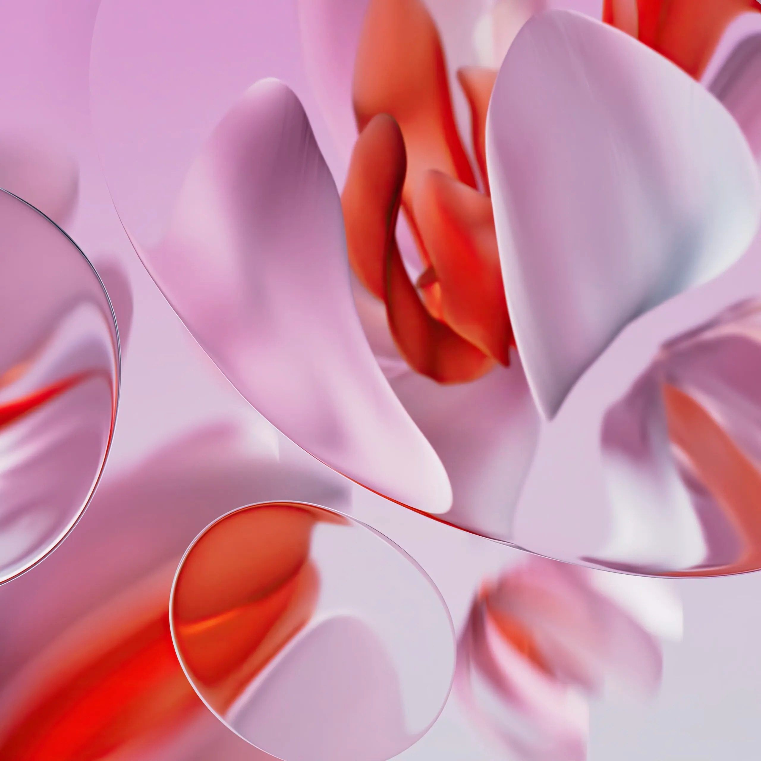 2560x2560 Pixel 9 series wallpaper leak with 'Swirling Petals' design