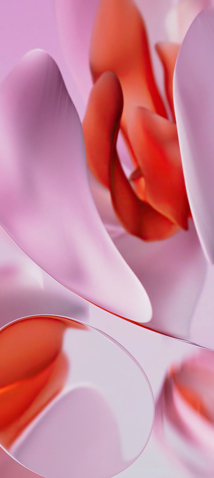 736x1644 Google Pixel 9 Pro Wallpaper