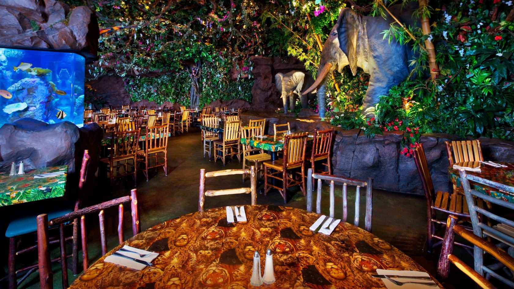 1680x945 Rainforest Cafe Animal Kingdom. Walt Disney World Resort