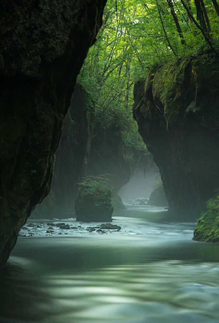 736x1083 Serene River Flowing Through a Lush Green Forest. Deep valley wallpaper, Jungle valley, Nature landscape
