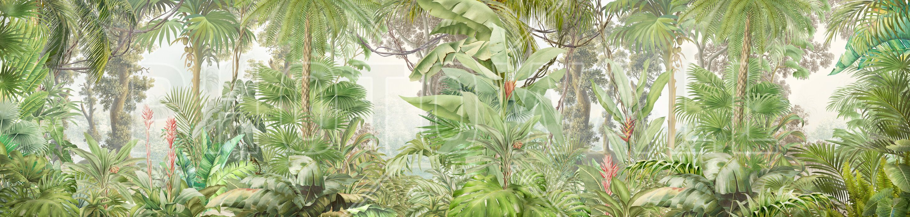 2925x699 Deep Tropical