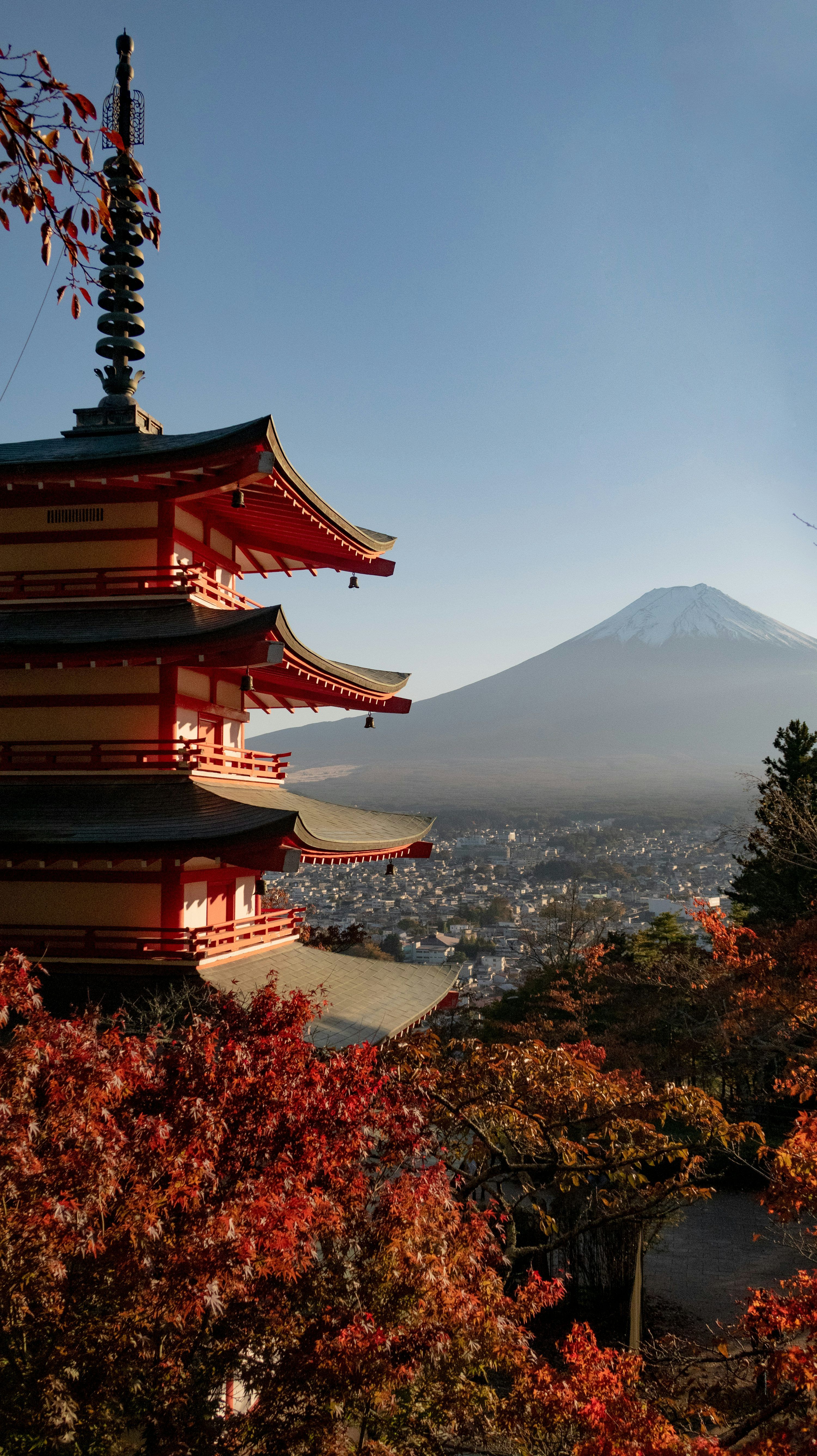 3000x5344 Japanese Wallpaper: Free HD Download [HQ]