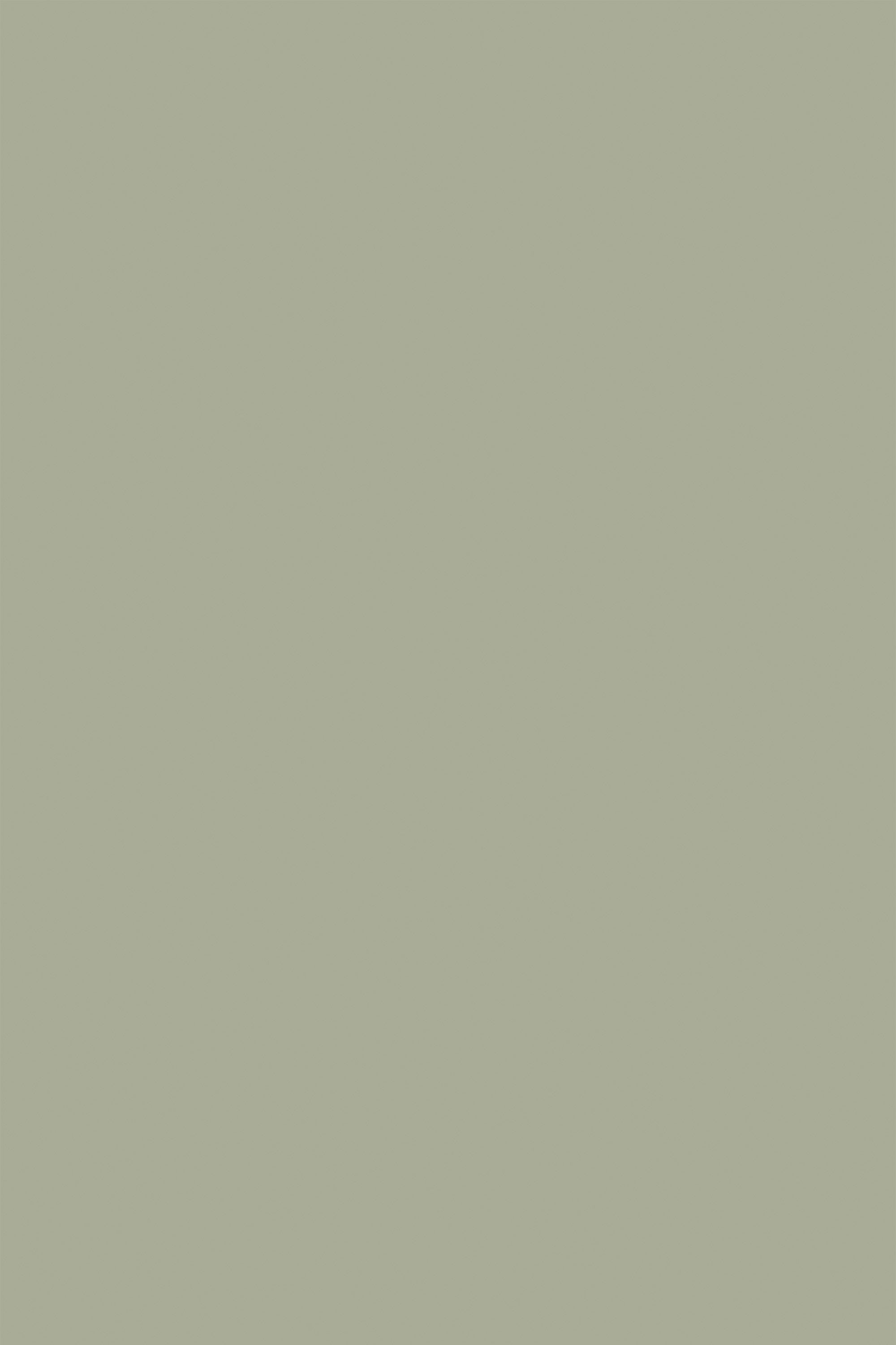 2000x3000 Solid Sage Wallpaper (Sample