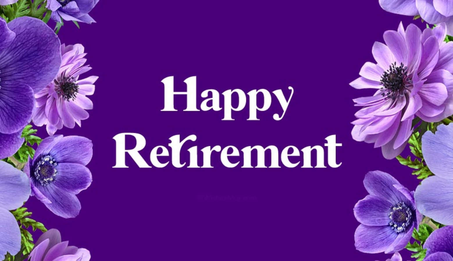 1558x900 Happy Retirement Wallpaper