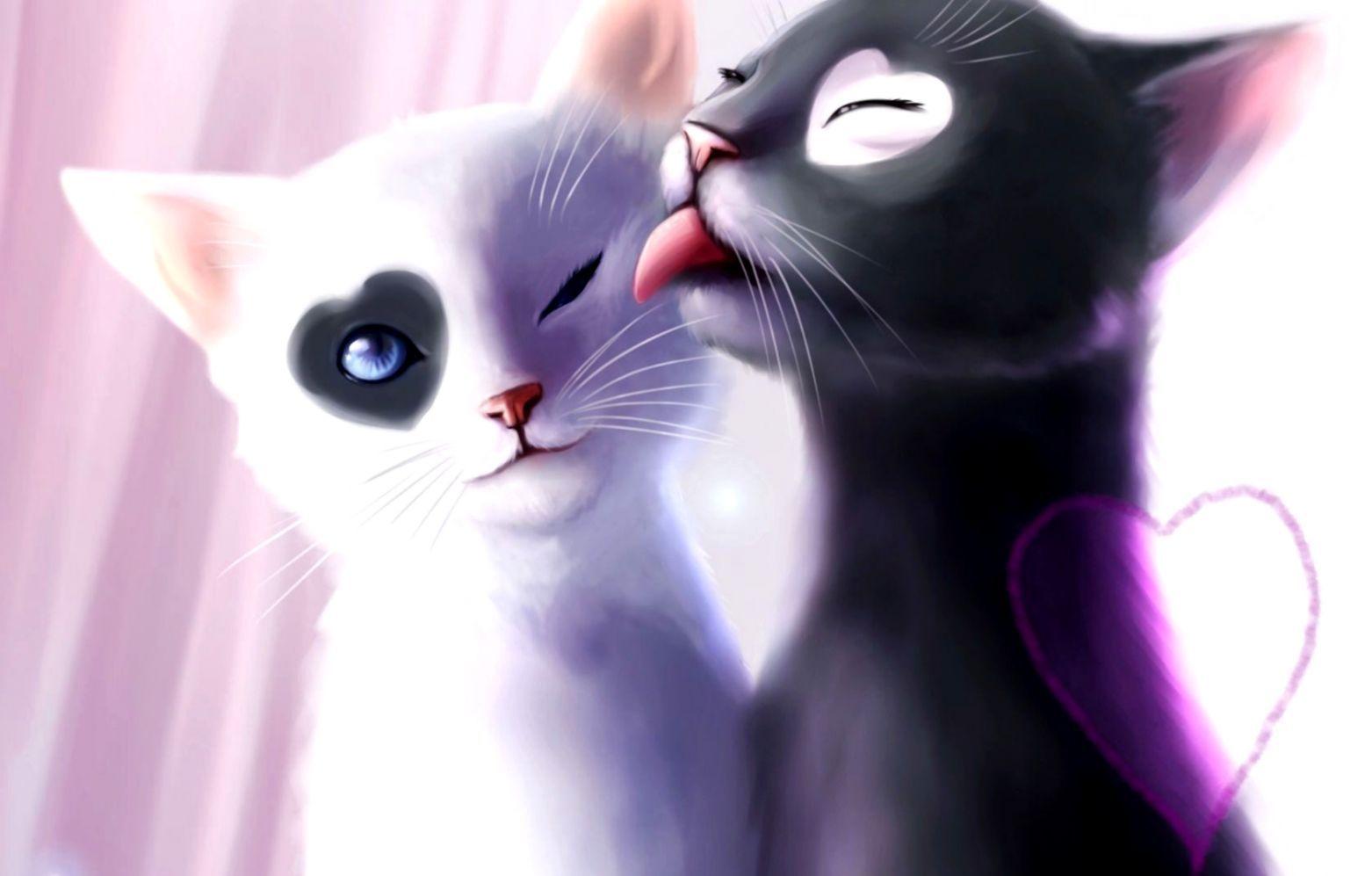 1562x997 Anime Cat Wallpaper