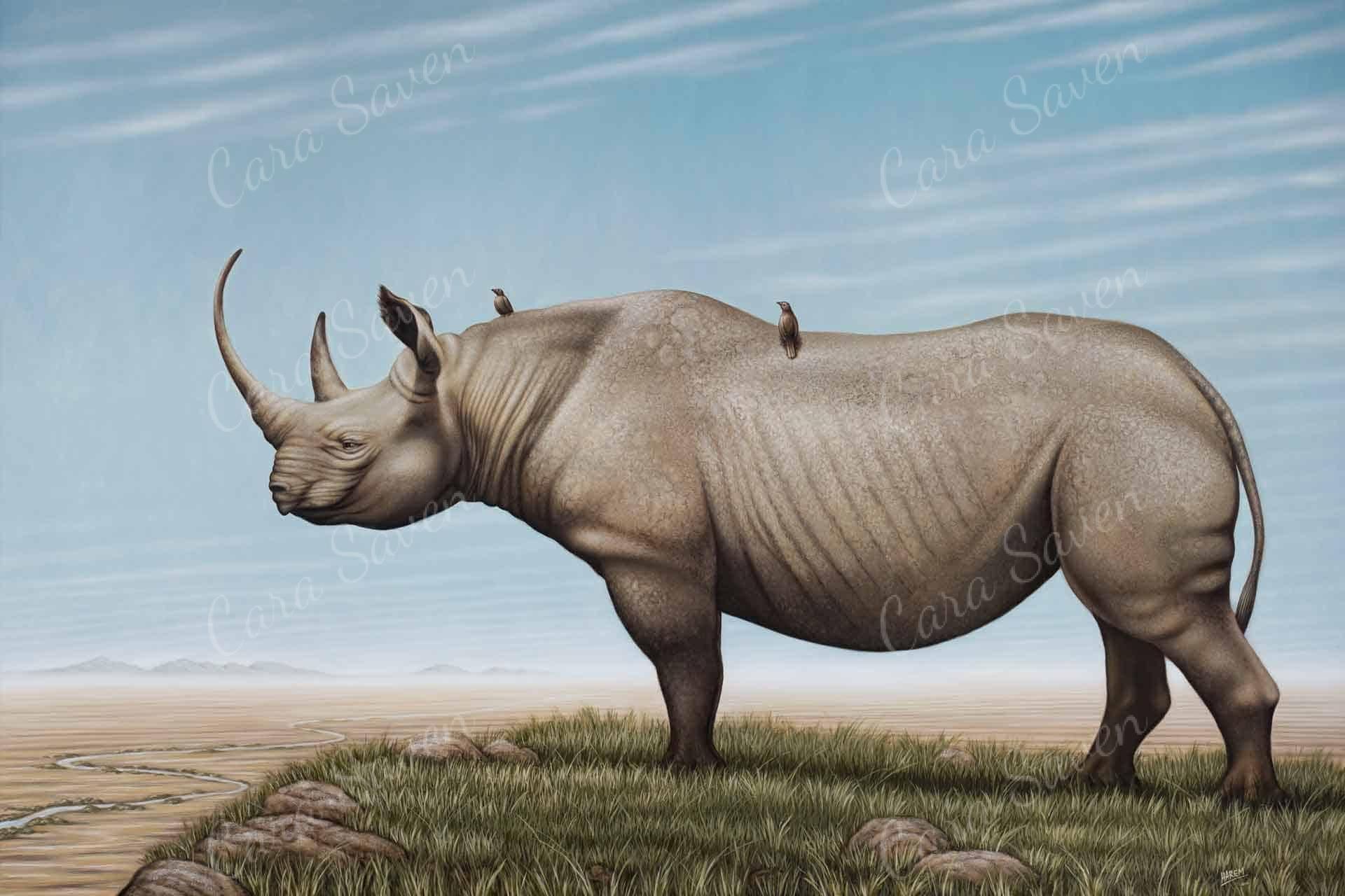 1920x1280 Black Rhino Saven Wall Design