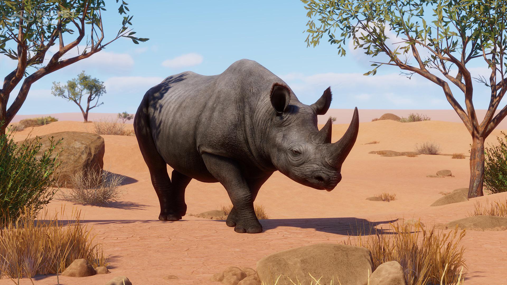 1920x1080 Black Rhinoceros reveal