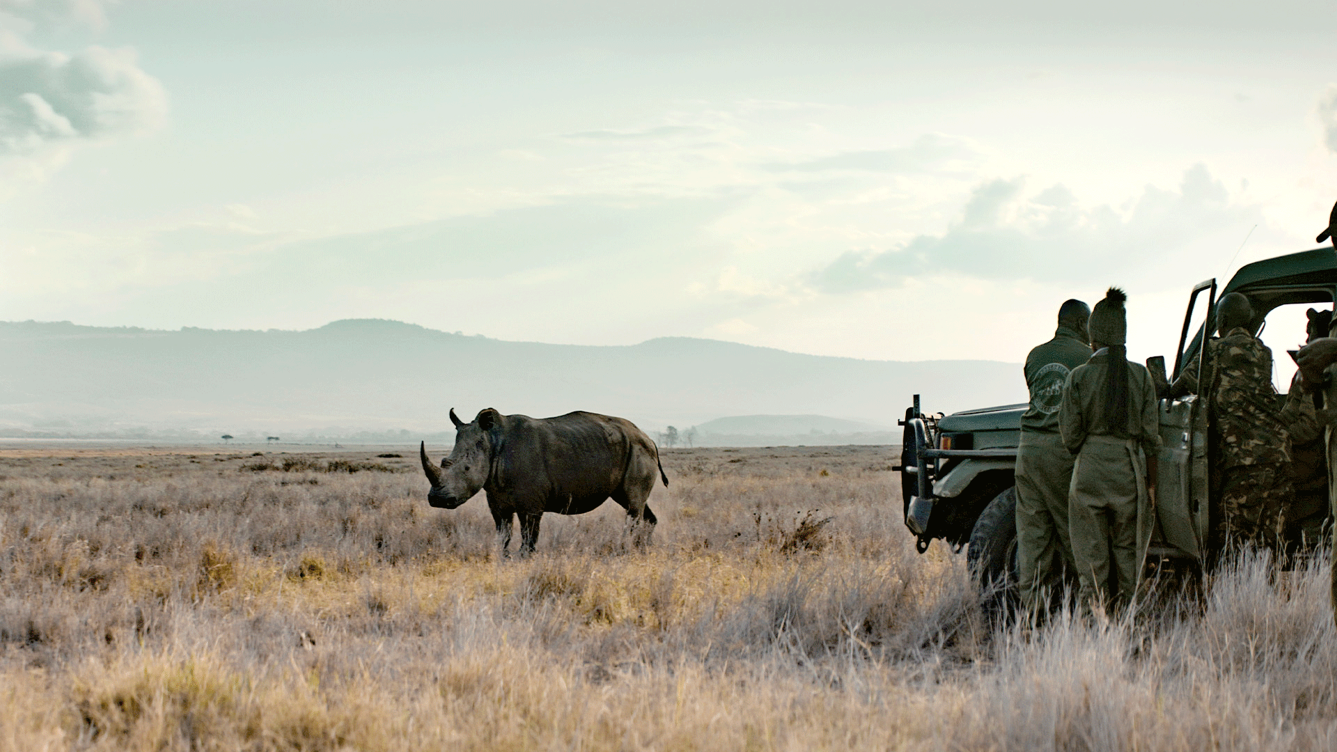 1920x1080 Rhinos are the face of extinction