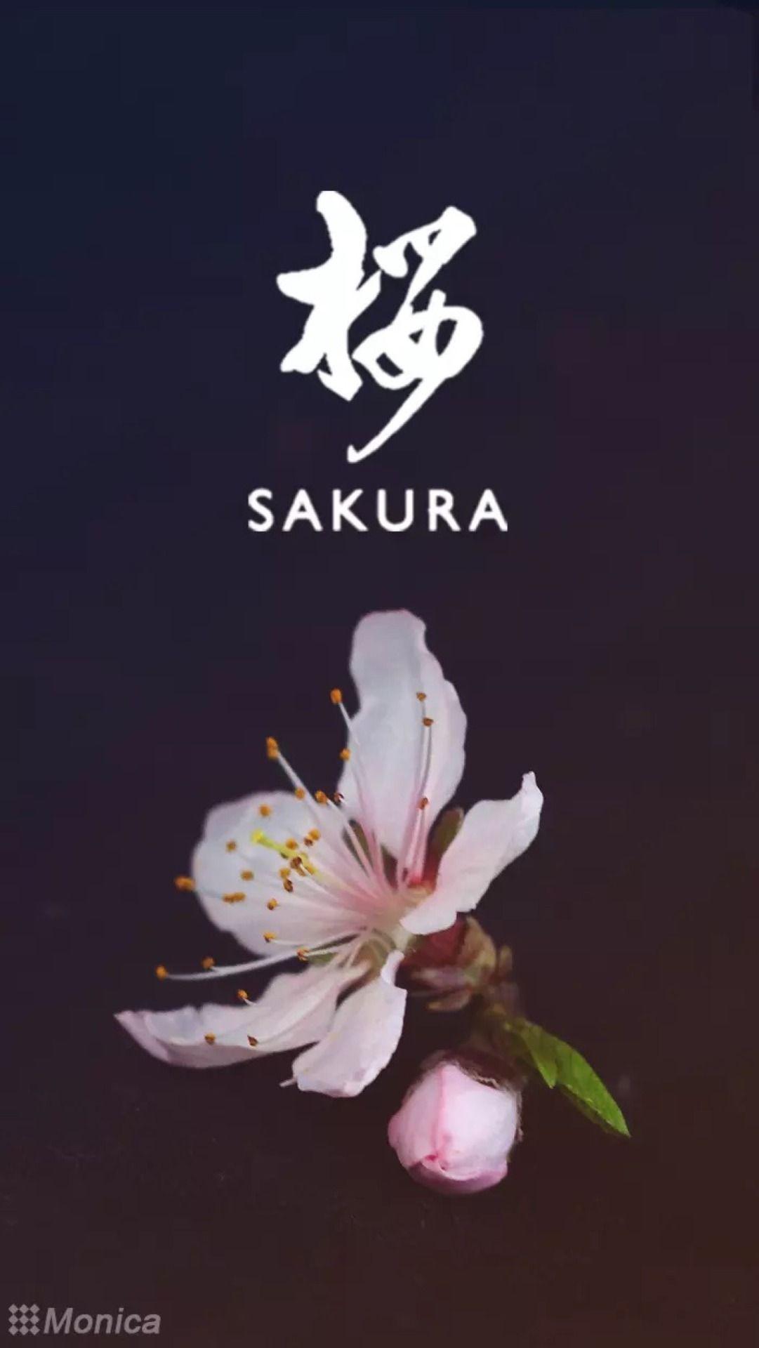 1081x1920 iPhone Wallpaper