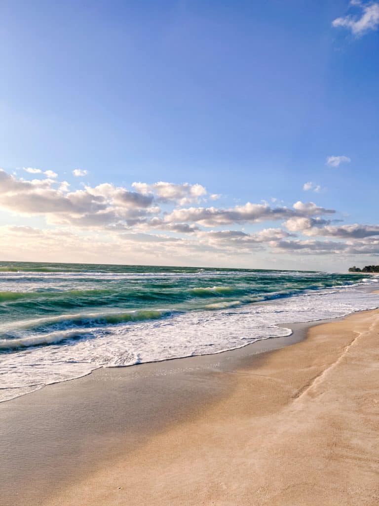 768x1024 Ultimate Anna Maria Island Travel Guide To Do On AMI In Laurel Land