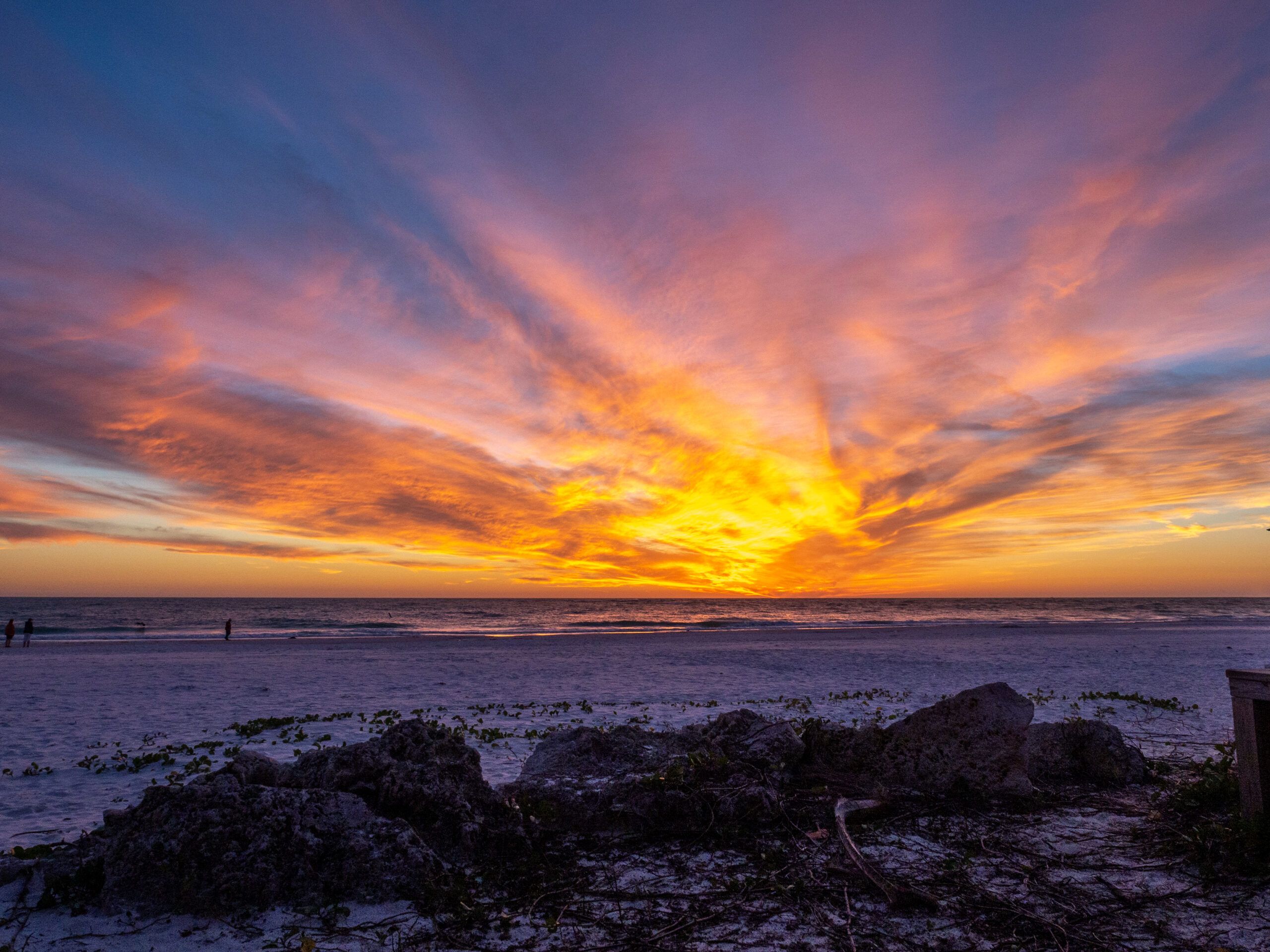 2560x1920 Island Events Maria Island Chamber of Commerce