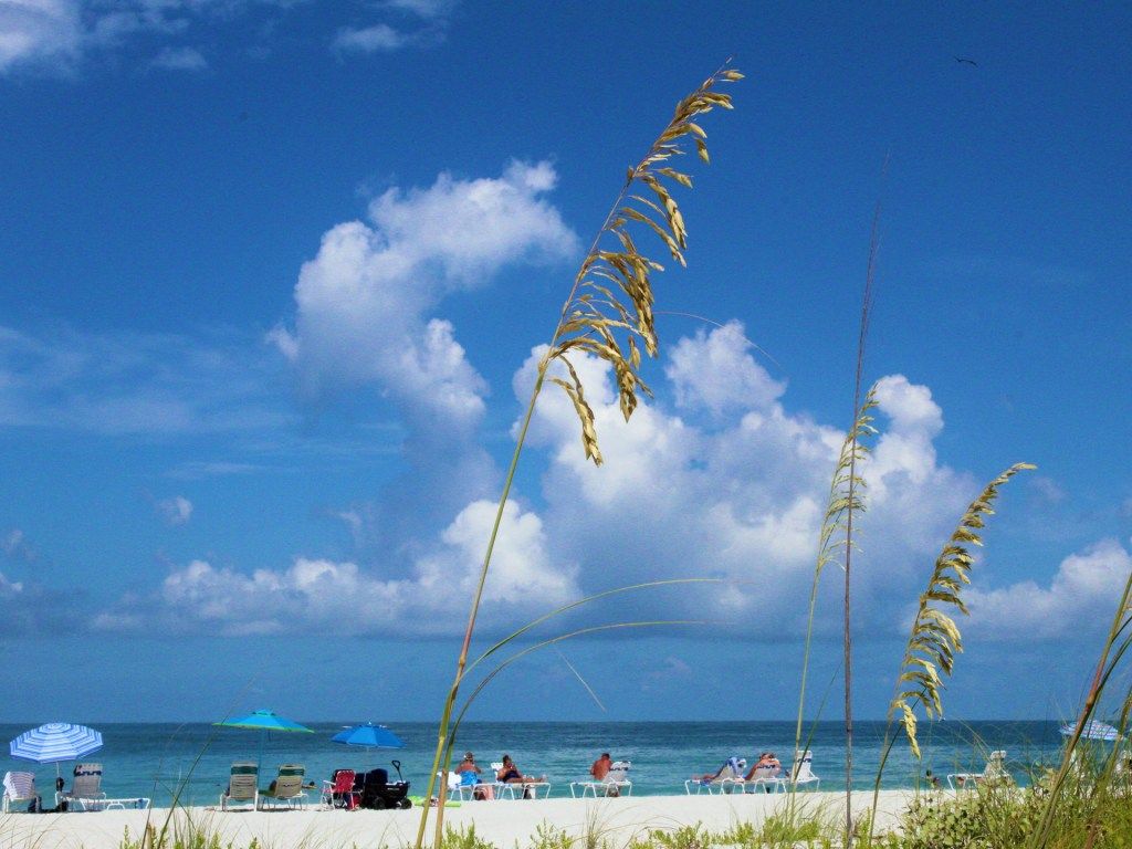 1024x768 The Precious Gifts We Found in Anna Maria Island, Florida