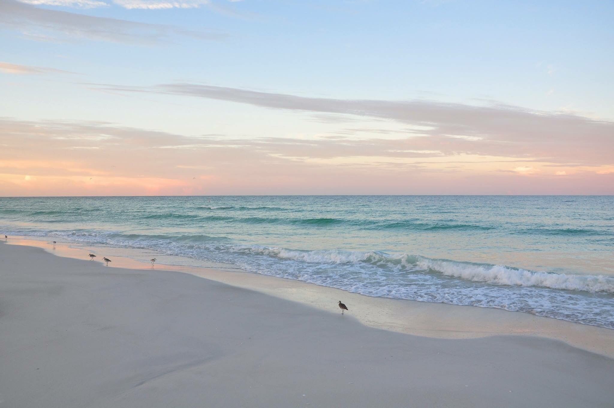 2048x1360 Reasons to Visit Anna Maria Island in the Summer!