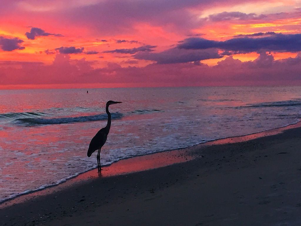 1024x768 This Beach Destination Should Be Your Next Getaway. Condé Nast Traveler