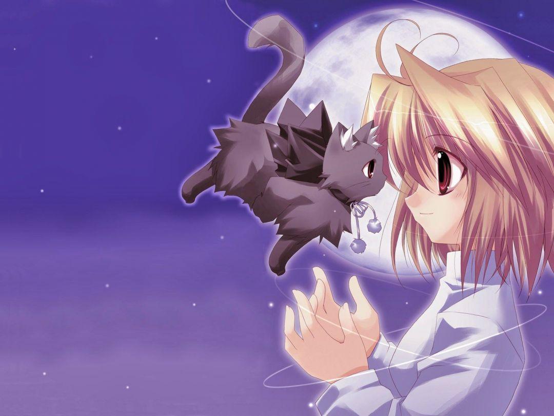 1080x810 Kawaii Anime Cat, iPhone, Desktop HD Background